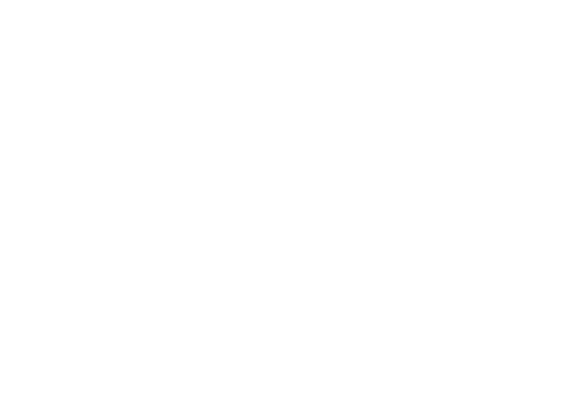 ViB Footer Logo